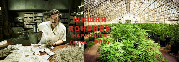 стафф Богородск