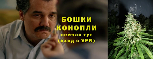 PSILOCYBIN Бородино