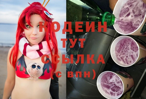 PSILOCYBIN Бородино