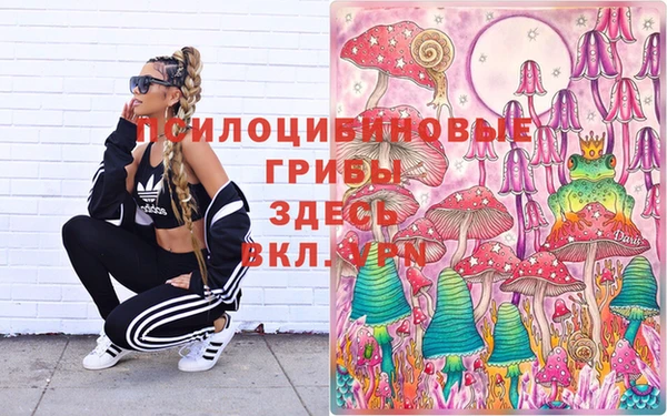 мдма Богородицк