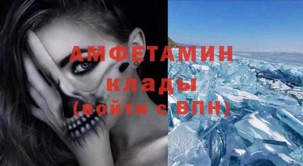 PSILOCYBIN Бородино